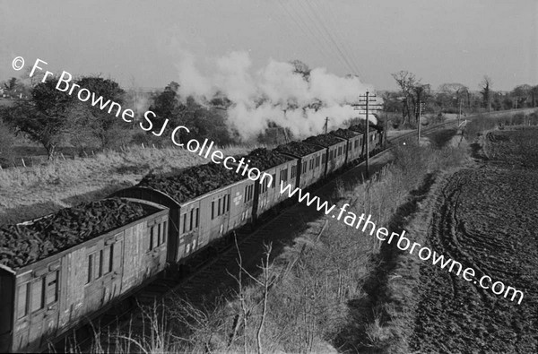 TURF TRAIN NEAR PORTARLINGTON